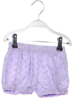 Παιδικό κοντό παντελόνι Primigino, Μέγεθος 12-18m/ 80-86 εκ., Χρώμα Βιολετί, Τιμή 10,99 €