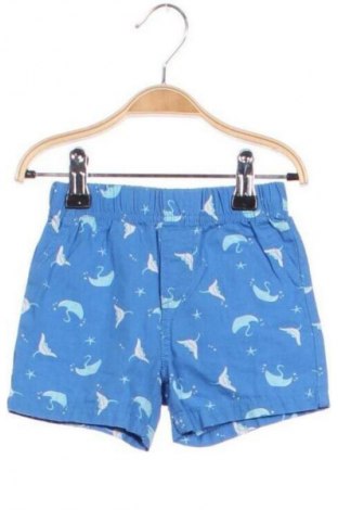 Kinder Shorts Unbranded, Größe 6-9m/ 68-74 cm, Farbe Mehrfarbig, Preis 5,99 €
