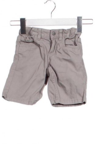 Dětské kalhoty  Palomino, Velikost 2-3m/ 56-62 cm, Barva Šedá, Cena  269,00 Kč