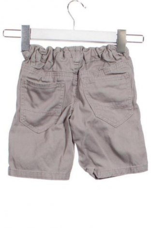 Dětské kalhoty  Palomino, Velikost 2-3m/ 56-62 cm, Barva Šedá, Cena  269,00 Kč