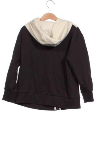 Kinder Sweatshirts LC Waikiki, Größe 5-6y/ 116-122 cm, Farbe Mehrfarbig, Preis 10,99 €