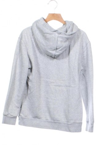 Παιδικό φούτερ PUMA, Μέγεθος 10-11y/ 146-152 εκ., Χρώμα Γκρί, Τιμή 18,99 €