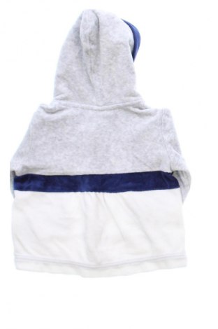 Kinder Sweatshirts Primigino, Größe 3-6m/ 62-68 cm, Farbe Mehrfarbig, Preis 11,76 €