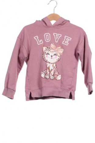 Dziecięca bluza Unbranded, Rozmiar 3-4y/ 104-110 cm, Kolor Popielaty róż, Cena 53,99 zł