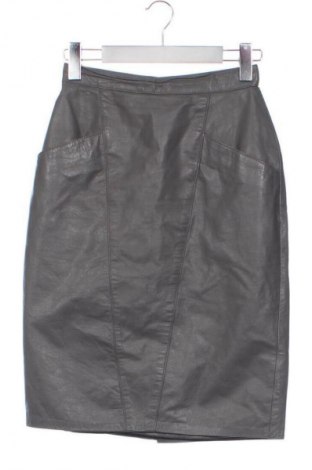 Kožená sukňa  Fiona C., Veľkosť XS, Farba Sivá, Cena  29,64 €