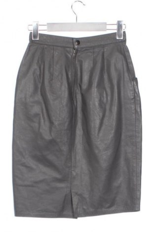 Kožená sukňa  Fiona C., Veľkosť XS, Farba Sivá, Cena  29,64 €