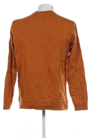Męska bluzka SCOTT, Rozmiar L, Kolor Pomarańczowy, Cena 114,99 zł