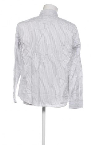 Pánská košile  Dockhouse, Velikost L, Barva Vícebarevné, Cena  300,00 Kč