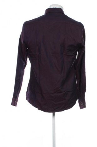 Męska koszula Dressmann, Rozmiar M, Kolor Fioletowy, Cena 76,99 zł