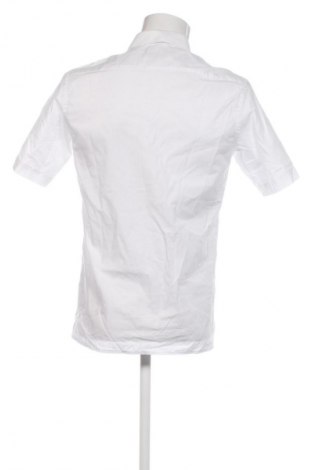 Męska koszula Eterna, Rozmiar M, Kolor Biały, Cena 131,00 zł