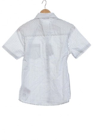 Férfi ing Fluid, Méret S, Szín Sokszínű, Ár 9 146 Ft