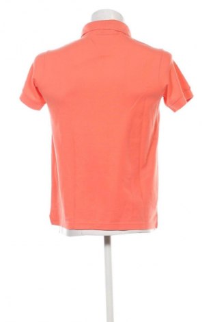Herren T-Shirt Hilfiger Denim, Größe S, Farbe Orange, Preis € 25,99