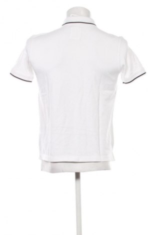 Męski T-shirt Tom Tailor, Rozmiar M, Kolor Biały, Cena 53,58 zł