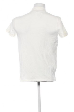 Męski T-shirt Zadig & Voltaire, Rozmiar M, Kolor Kolorowy, Cena 274,99 zł