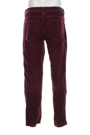 Pantaloni raiați de bărbați Canda, Mărime L, Culoare Roșu, Preț 45,99 Lei