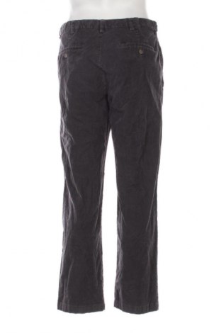 Męskie sztruksy Haggar, Rozmiar M, Kolor Fioletowy, Cena 48,99 zł