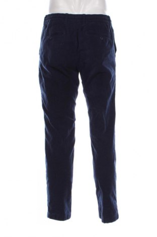 Męskie sztruksy Watson's, Rozmiar L, Kolor Niebieski, Cena 47,99 zł