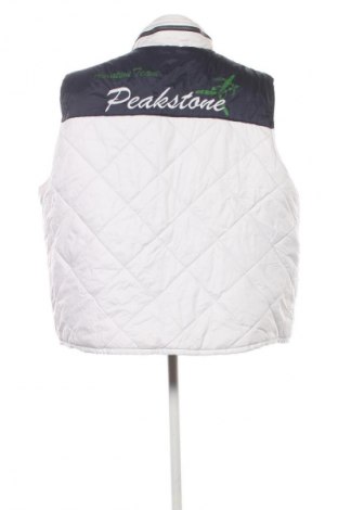 Vestă de bărbați Unbranded, Mărime 4XL, Culoare Multicolor, Preț 76,99 Lei