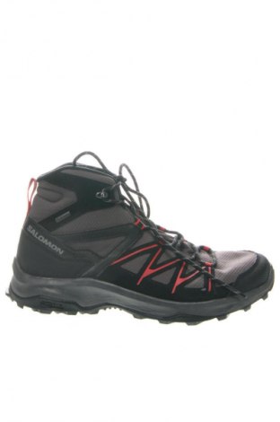 Pánske topánky Salomon, Veľkosť 43, Farba Viacfarebná, Cena  109,95 €