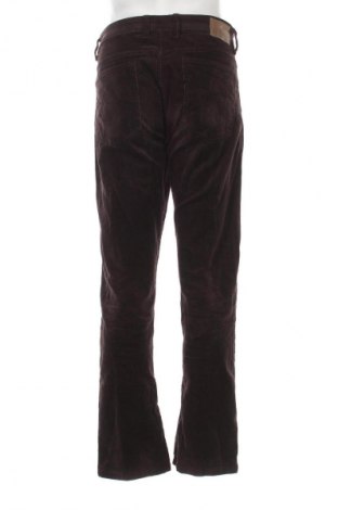 Ανδρικό παντελόνι Canda, Μέγεθος XL, Χρώμα Καφέ, Τιμή 8,99 €