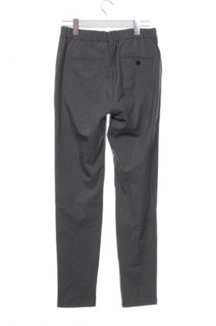 Ανδρικό παντελόνι DAILY AESTHETIKZ, Μέγεθος S, Χρώμα Γκρί, Τιμή 10,99 €