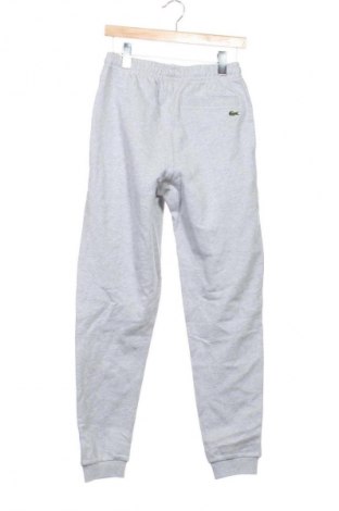 Pánske tepláky Lacoste, Veľkosť XS, Farba Sivá, Cena  88,95 €