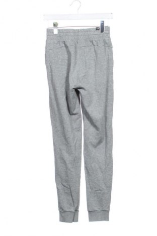 Мъжко спортно долнище PUMA, Размер S, Цвят Сив, Цена 24,44 €