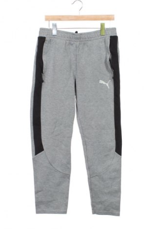 Herren Sporthose PUMA, Größe S, Farbe Grau, Preis € 24,99