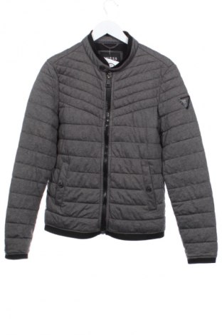 Męska kurtka Guess, Rozmiar S, Kolor Szary, Cena 223,99 zł