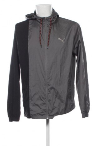 Мъжко яке PUMA, Размер L, Цвят Многоцветен, Цена 42,43 €
