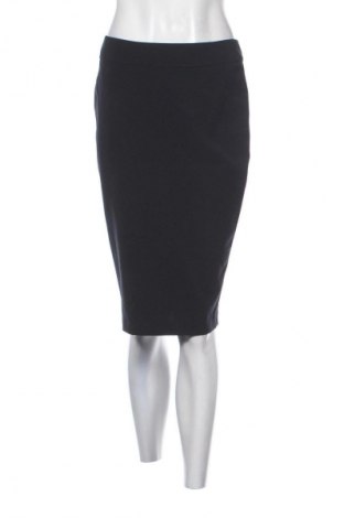 Rock Dorothy Perkins, Größe M, Farbe Schwarz, Preis € 16,37