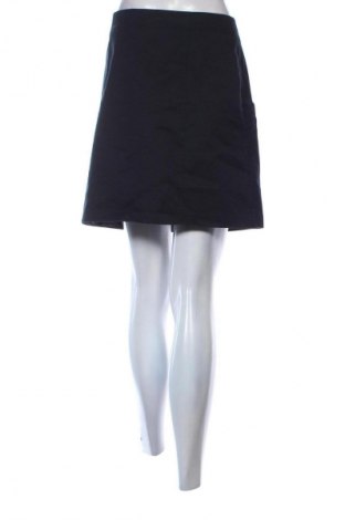 Φούστα H&M, Μέγεθος L, Χρώμα Μπλέ, Τιμή 9,78 €