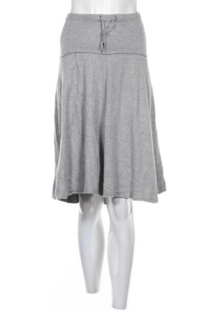 Φούστα H&M, Μέγεθος M, Χρώμα Γκρί, Τιμή 9,70 €