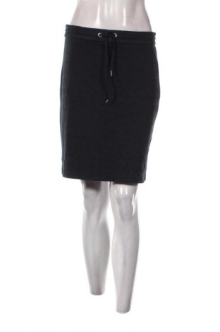 Φούστα Jake*s, Μέγεθος M, Χρώμα Πολύχρωμο, Τιμή 17,99 €