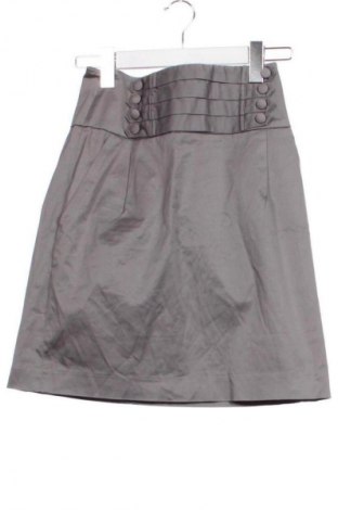 Rock Marks & Spencer, Größe XS, Farbe Grau, Preis € 13,81