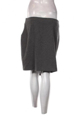 Φούστα S.Oliver, Μέγεθος XL, Χρώμα Γκρί, Τιμή 10,99 €