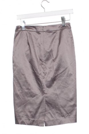 Sukně Unbranded, Velikost XS, Barva Šedá, Cena  340,00 Kč