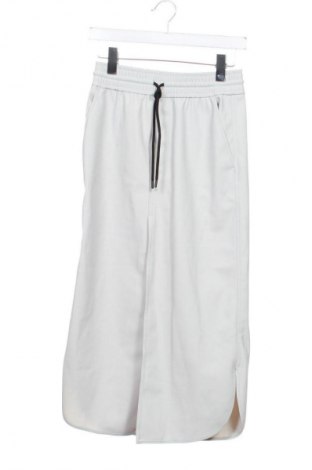 Rock Zara, Größe XS, Farbe Grau, Preis € 32,00