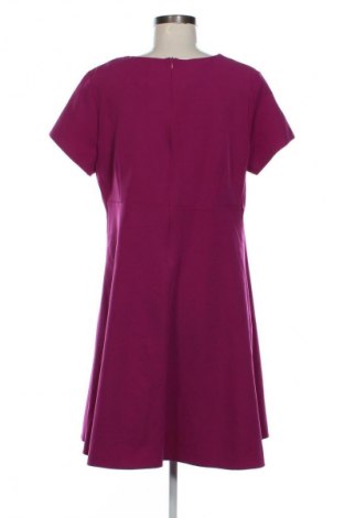 Kleid Adika, Größe XXL, Farbe Rosa, Preis € 20,00