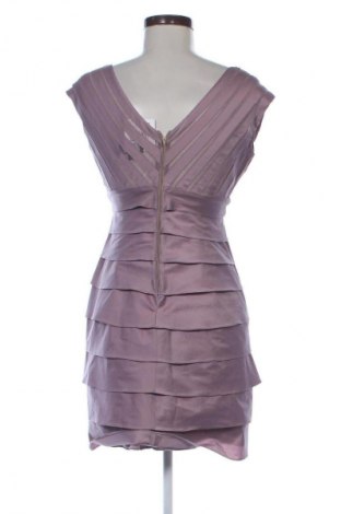 Kleid Adrianna Papell, Größe M, Farbe Aschrosa, Preis 41,93 €