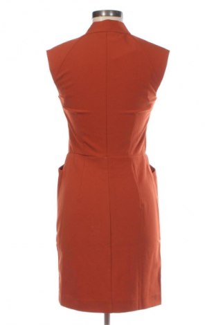 Kleid DDP, Größe XS, Farbe Braun, Preis 31,65 €