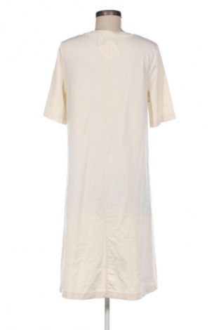 Kleid Drykorn for beautiful people, Größe XL, Farbe Ecru, Preis € 66,00