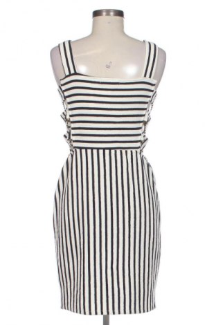 Kleid Even&Odd, Größe XL, Farbe Mehrfarbig, Preis € 19,93