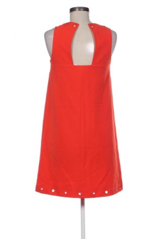 Kleid Kocca, Größe XS, Farbe Rot, Preis € 41,99