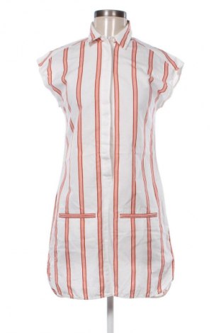 Kleid Lacoste, Größe XS, Farbe Mehrfarbig, Preis € 66,56