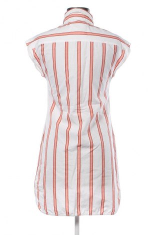 Kleid Lacoste, Größe XS, Farbe Mehrfarbig, Preis € 66,56