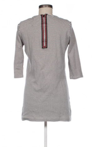 Kleid Mango, Größe L, Farbe Mehrfarbig, Preis 27,70 €