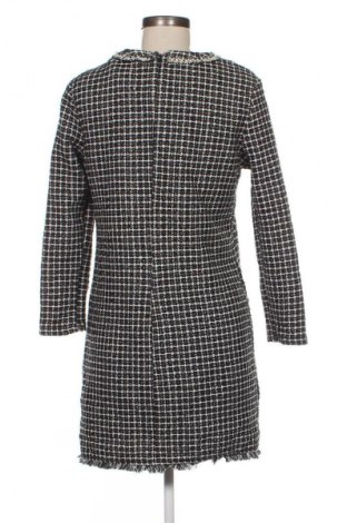 Kleid Mango, Größe L, Farbe Mehrfarbig, Preis 12,99 €