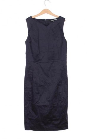 Φόρεμα Max&Co., Μέγεθος S, Χρώμα Μπλέ, Τιμή 65,99 €