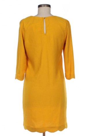 Šaty  Naf Naf, Veľkosť M, Farba Viacfarebná, Cena  25,00 €